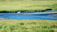 Yellowstone National Park, Wyoming, Montana, United States. Photography by Peter Stanley, 2012