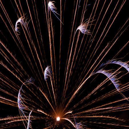 Fireworks on a black background. Photography by Peter Stanley, 2012.