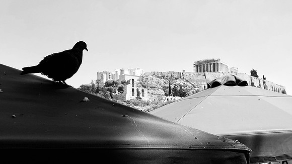 The Acropolis