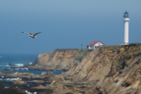 Point Arena