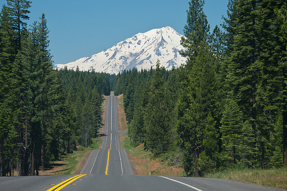 Shasta