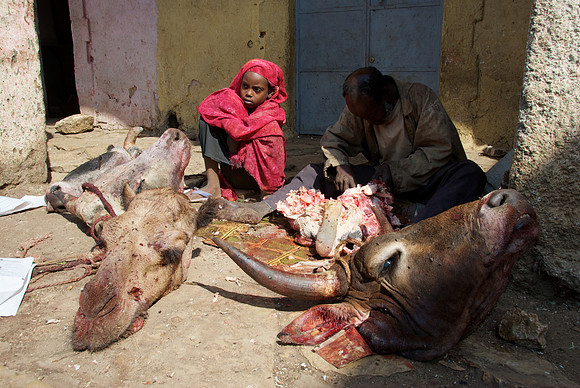 Travel through Ethiopia. Photography by Peter Stanley, 2012.