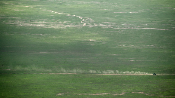 African wildlife in northern Tanzania in Serengeti National Park and Ngorongoro National Park. Photography by Peter Stanley, 2012.