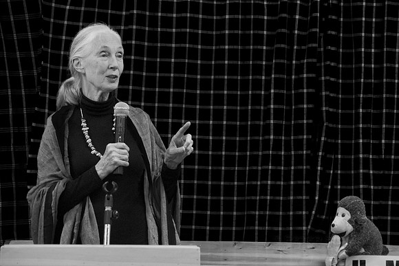 Jane Goodall...