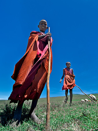 The Herders
